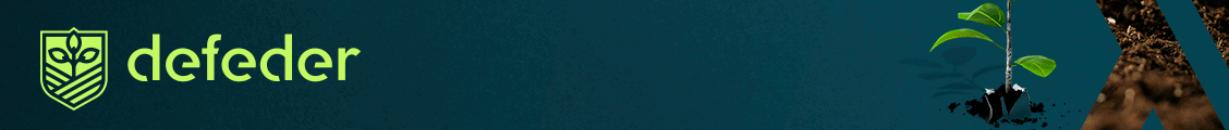 www.defedergroup.com